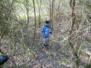 Ukliďme Česko - ukliďme cestu do lesa